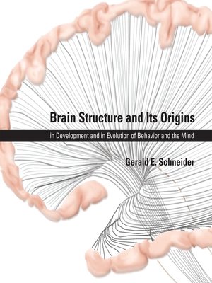 cover image of Brain Structure and Its Origins